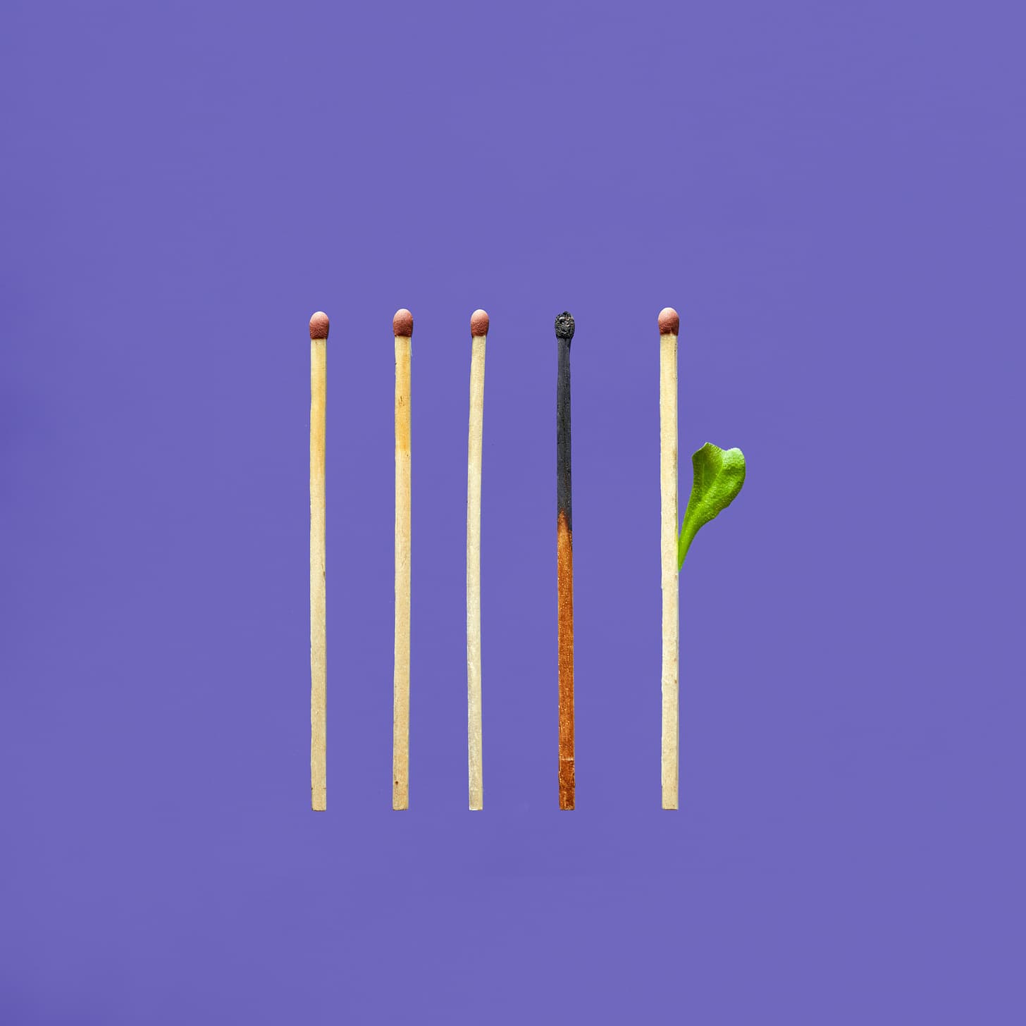 Photo by JJ Jordan on Unsplash